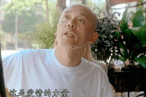 梁朝伟爆料丁克视频全集,视频全集深度解析 第3张 梁朝伟爆料丁克视频全集,视频全集深度解析 第3张