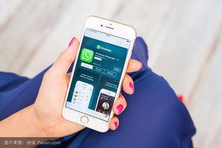 沙西米在线观看手机,手机端畅享美食电影之旅  第1张